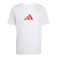 Camiseta Adidas Padel Graphic Blanco