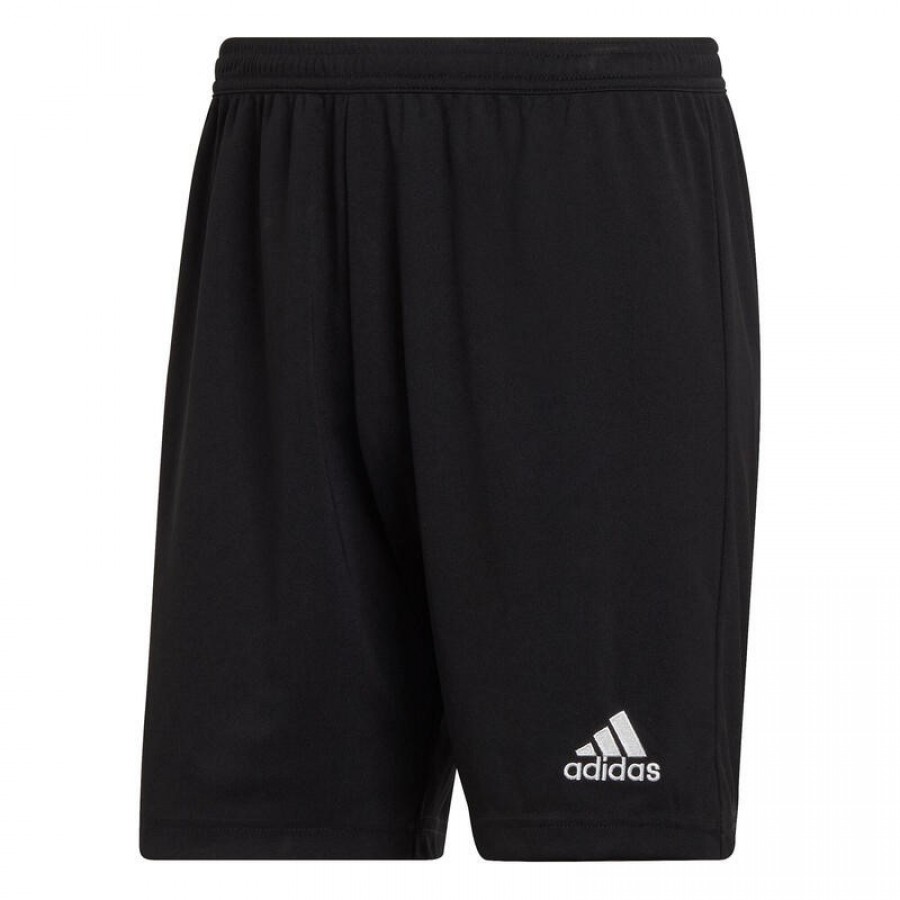 Adidas Short Entrance 22 Black  Offer + Cheap